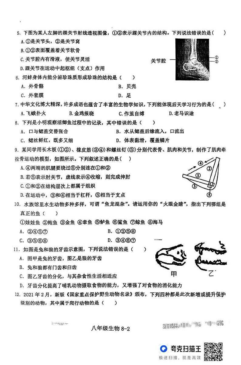 河南省信阳市淮滨县2024-2025学年八年级上学期1月期末生物试题第2页