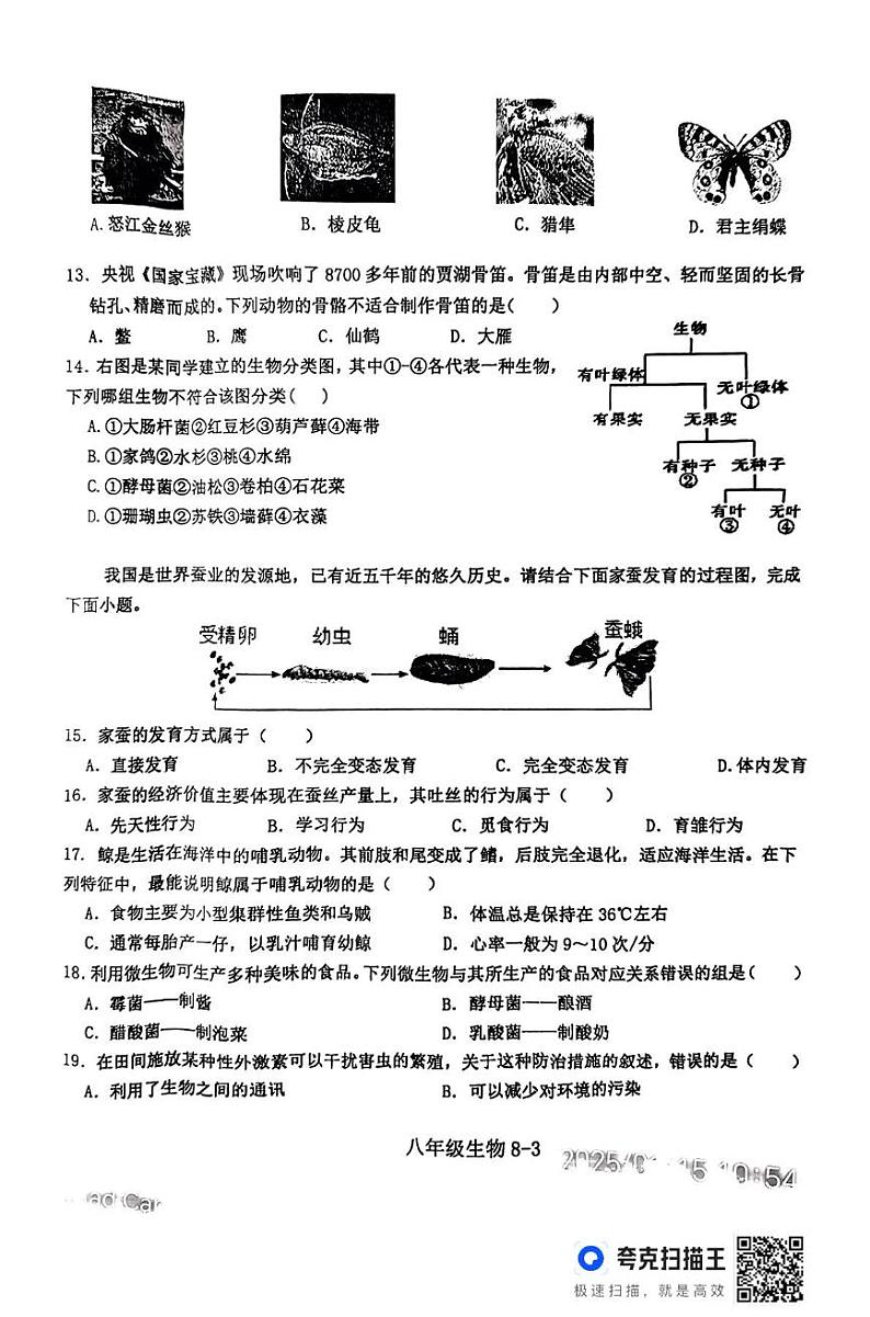 河南省信阳市淮滨县2024-2025学年八年级上学期1月期末生物试题第3页