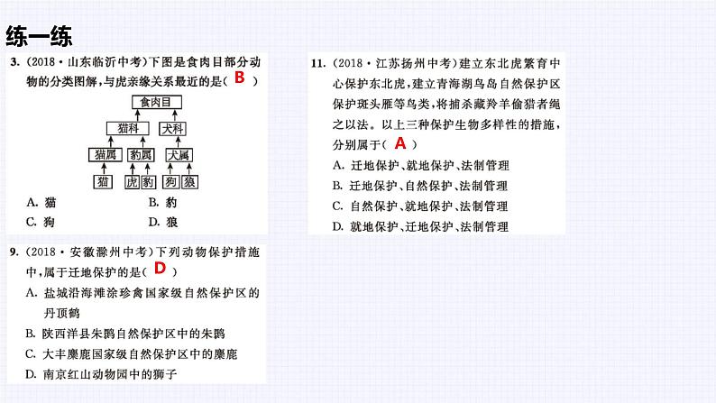 冀少版（2024）七上生物期末复习 课件第4页