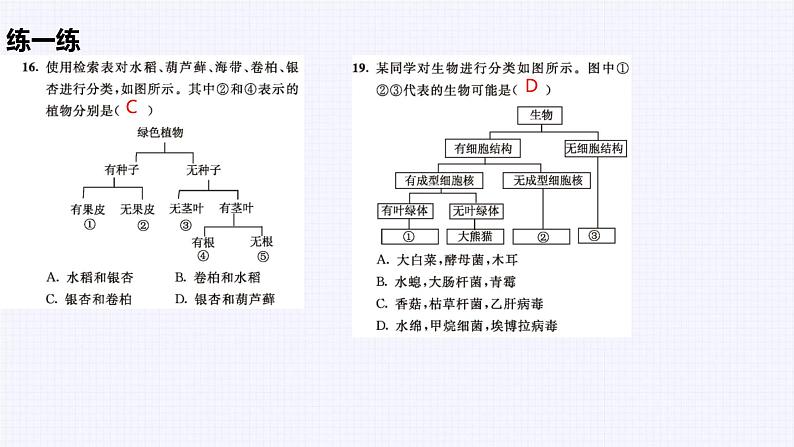 冀少版（2024）七上生物期末复习 课件第5页