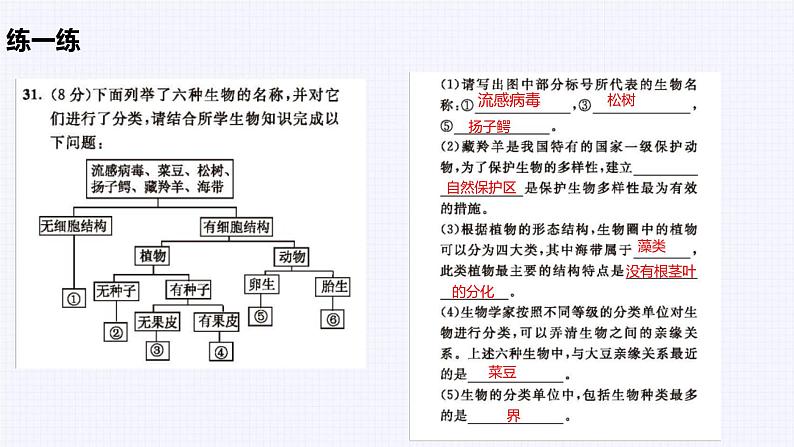 冀少版（2024）七上生物期末复习 课件第7页