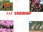 冀少版（2024）七上生物2.4.2 生物资源的保护 课件