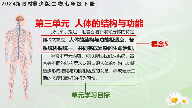 【核心素养】冀少版生物七年级下册 3.1.1  消化系统的组成 同步课件第1页