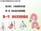 【核心素養(yǎng)】冀少版生物七年級下冊 3.1.1  消化系統(tǒng)的組成 同步課件+同步練習