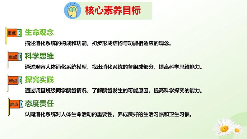 【核心素养】冀少版生物七年级下册 3.1.1  消化系统的组成 同步课件第5页