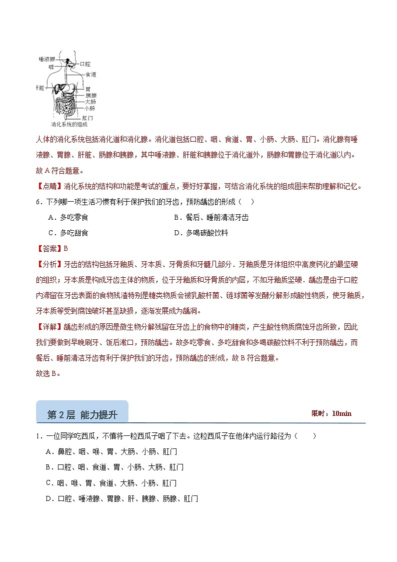 【核心素养】冀少版生物七年级下册 3.1.1 消化系统的组成（分层练习）（解析版）第3页