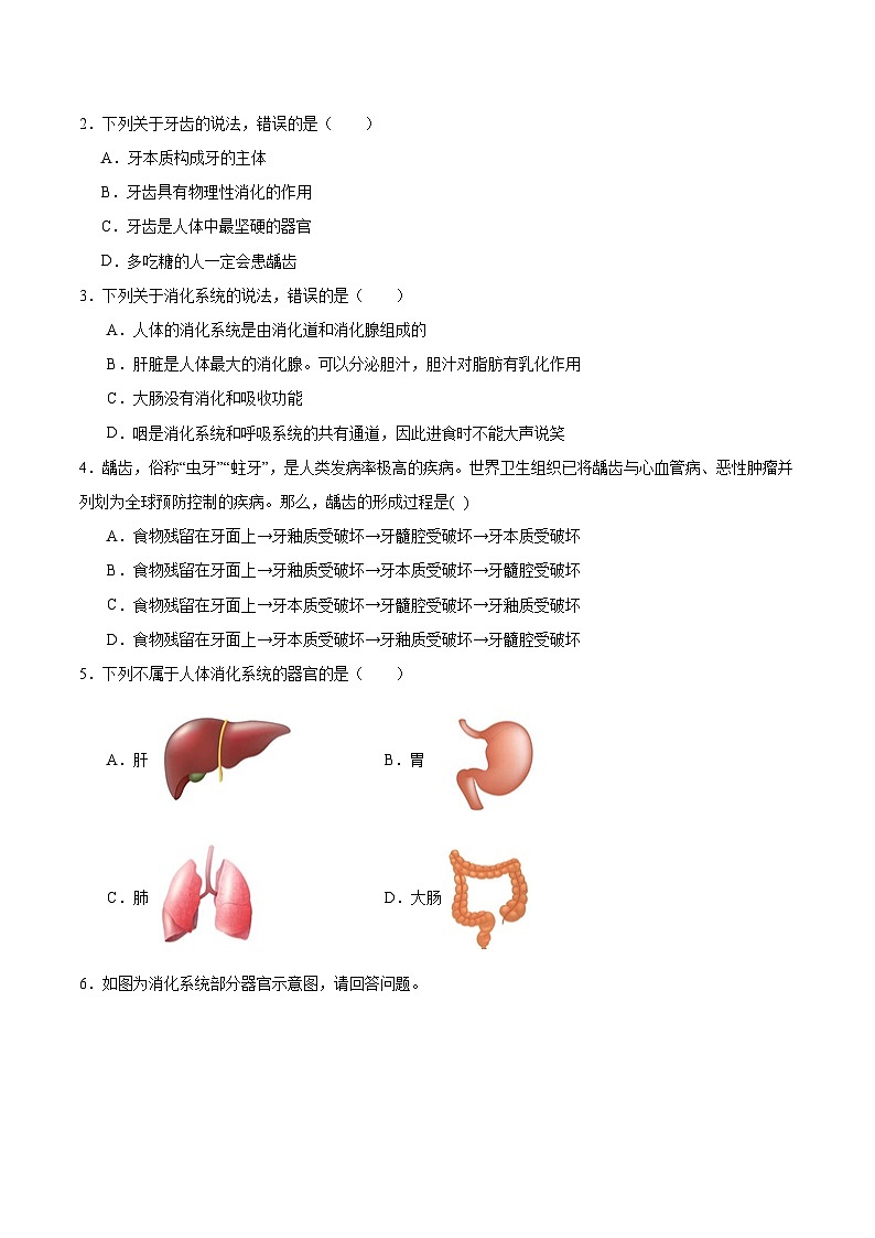 【核心素养】冀少版生物七年级下册 3.1.1 消化系统的组成（分层练习）（原卷版）第2页