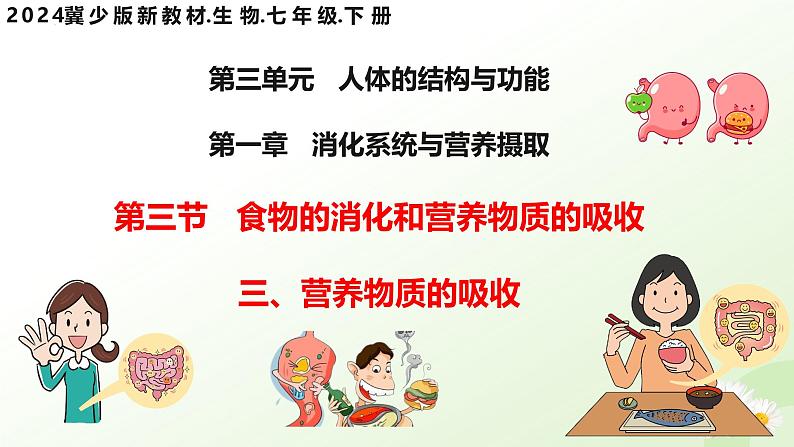 【核心素养】冀少版生物七年级下册 3.1.3  食物的消化和营养物质的吸收（三、营养物质的吸收） 同步课件第1页