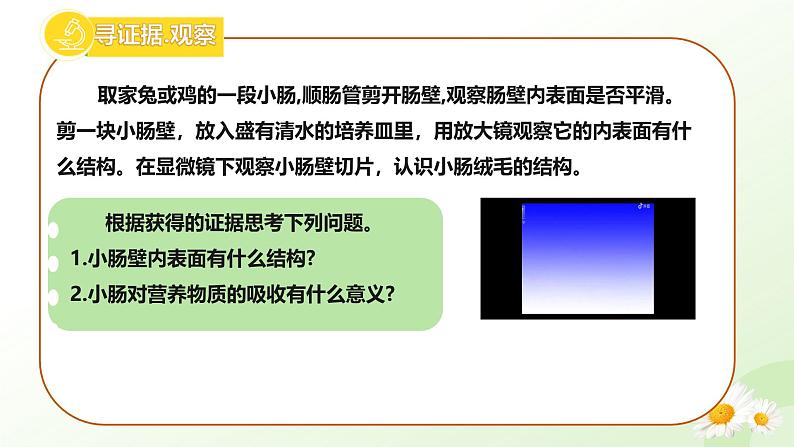 【核心素养】冀少版生物七年级下册 3.1.3  食物的消化和营养物质的吸收（三、营养物质的吸收） 同步课件第5页