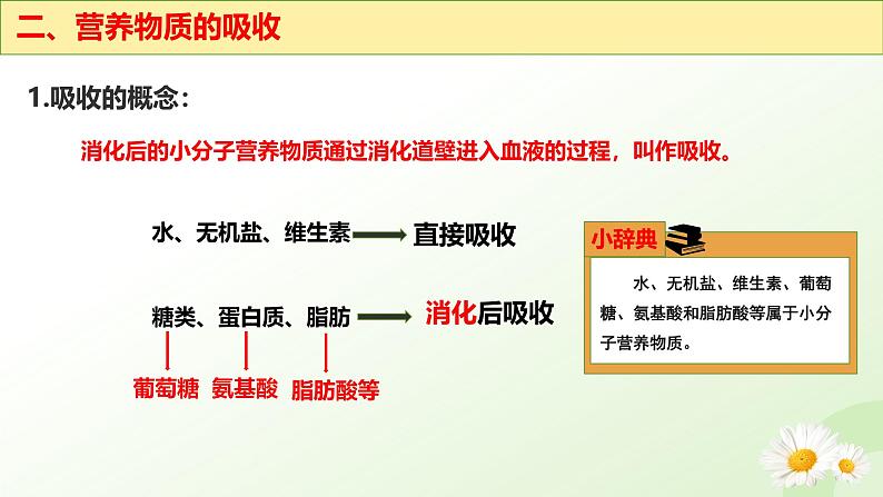 【核心素养】冀少版生物七年级下册 3.1.3  食物的消化和营养物质的吸收（三、营养物质的吸收） 同步课件第8页