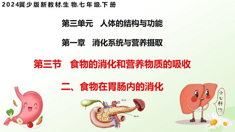 【核心素养】冀少版生物七年级下册 3.1.3 食物的消化和营养物质的吸收（二、食物在胃肠内的消化）同步课件第1页