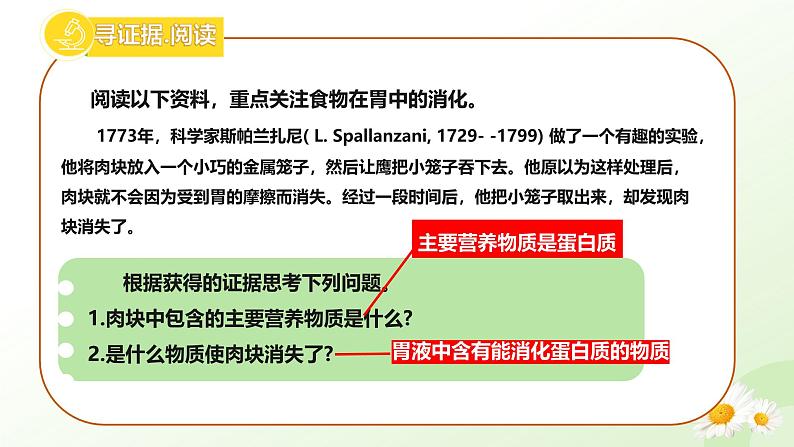 【核心素养】冀少版生物七年级下册 3.1.3 食物的消化和营养物质的吸收（二、食物在胃肠内的消化）同步课件第4页