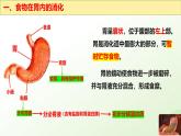 【核心素养】冀少版生物七年级下册 3.1.3 食物的消化和营养物质的吸收（二、食物在胃肠内的消化）同步课件+同步练习