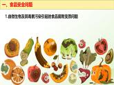 【核心素养】冀少版生物七年级下册 3.1.4 食品安全与合理饮食同步课件+同步练习
