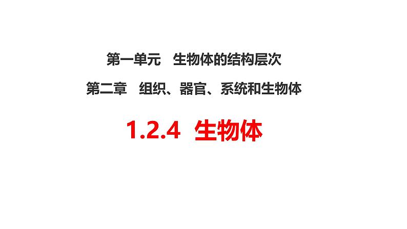 冀少版（2024）七上生物1.2.4生物体 课件第1页