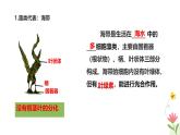 冀少版（2024）七上生物2.1藻类、植物和动物 章末复习 课件