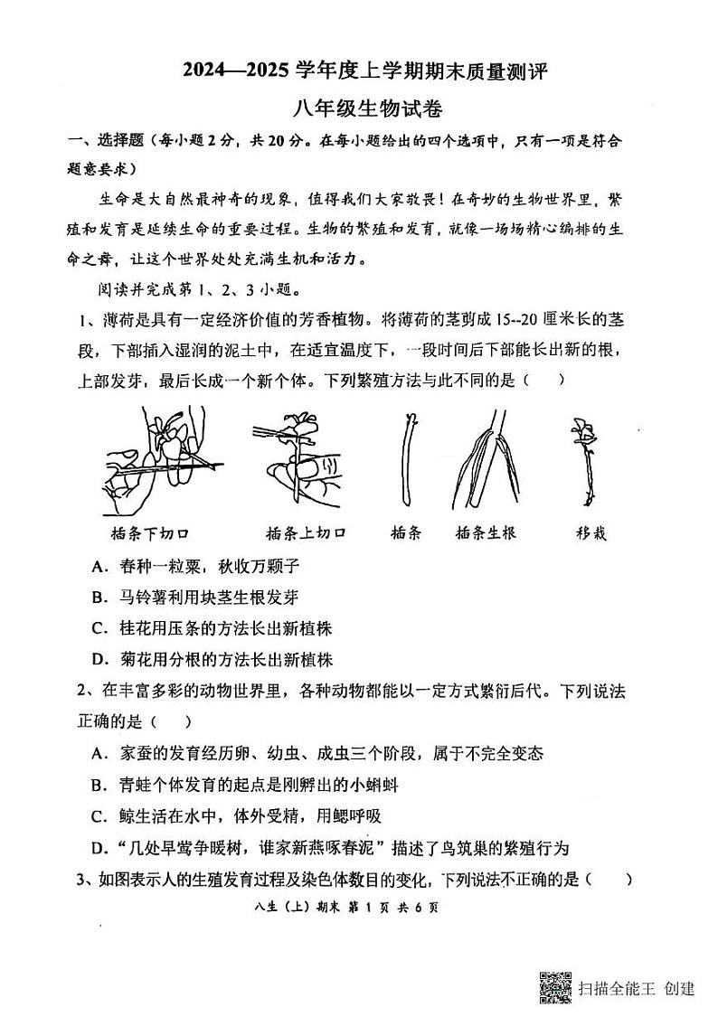 湖北省孝感市汉川市2024-2025学年八年级上学期1月期末生物试题第1页