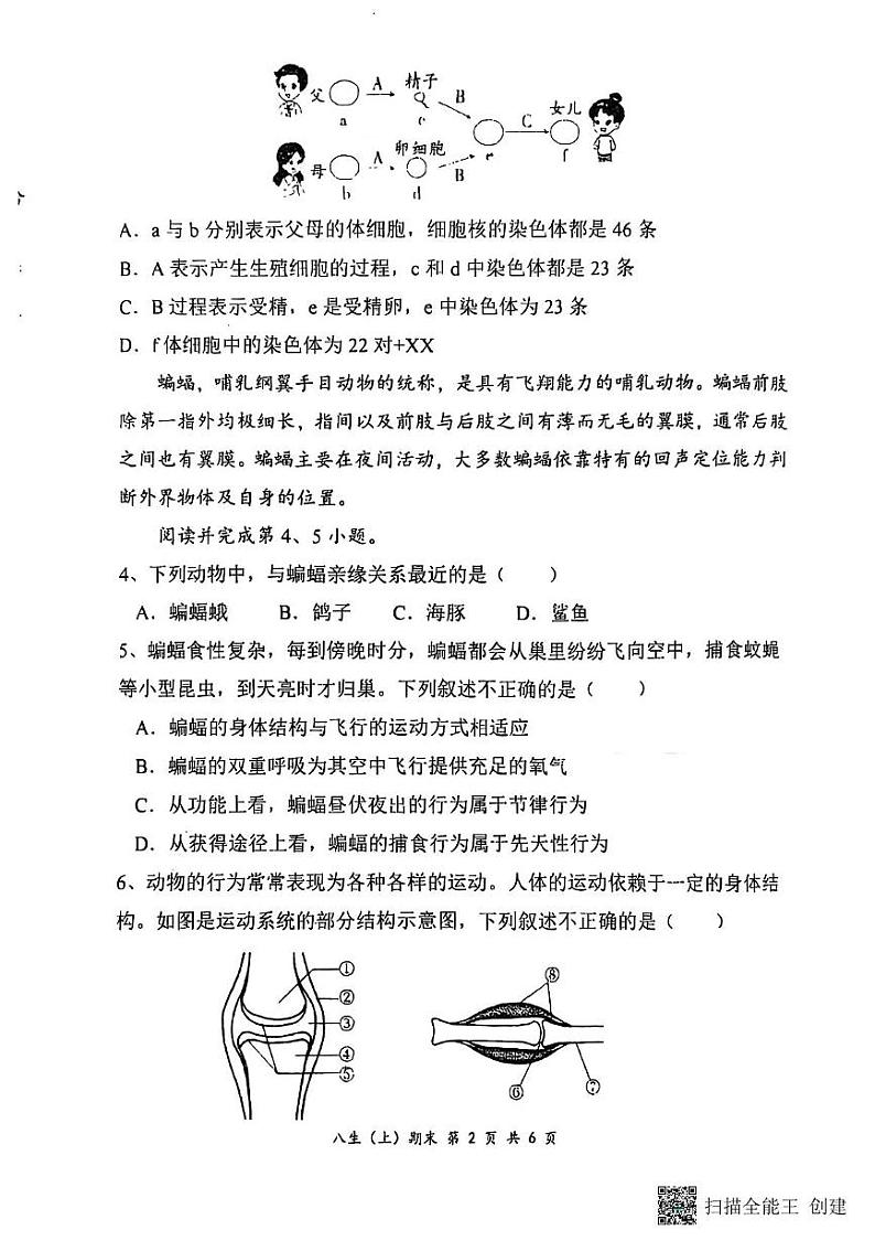 湖北省孝感市汉川市2024-2025学年八年级上学期1月期末生物试题第2页