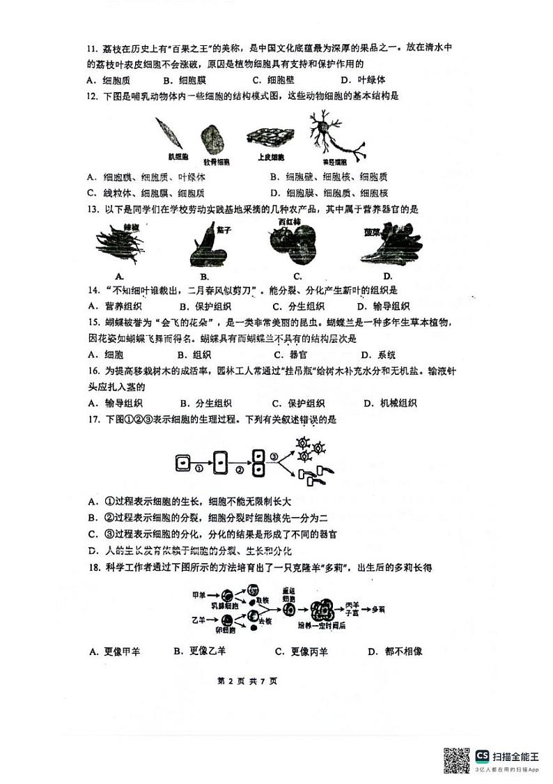 江苏省泰州市靖江市2024-2025学年七年级上学期1月期末生物试题第2页