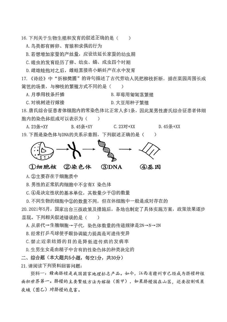 江西省赣州市兴国县2024-2025学年八年级上学期1月期末生物试题第3页