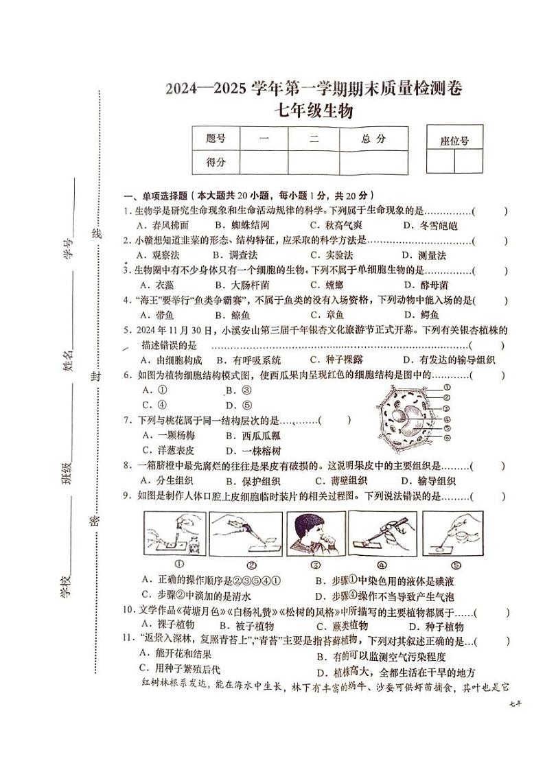 江西省赣州市于都县2024-2025学年七年级上学期1月期末生物试题第1页