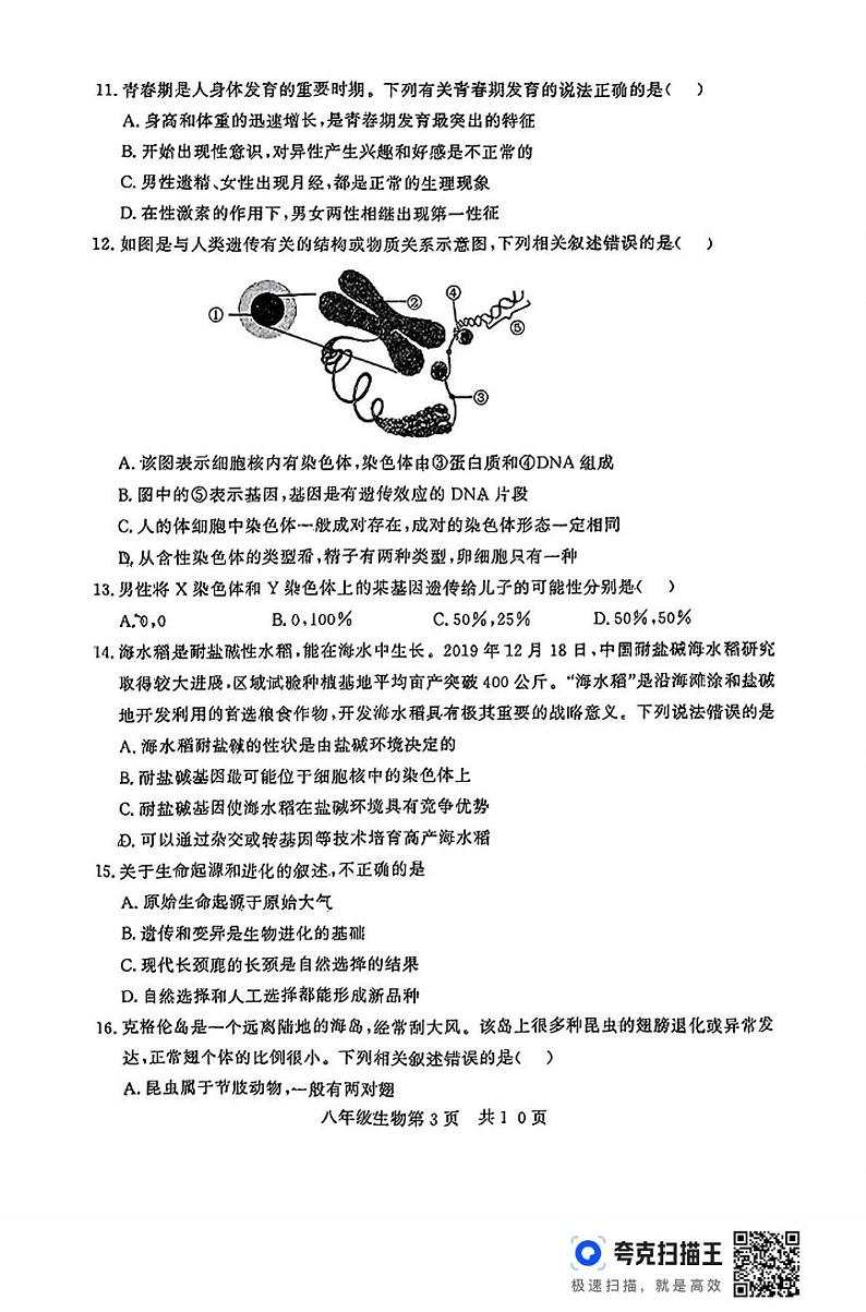山东省德州市禹城市2024-2025学年八年级上学期期末考试生物试题第3页