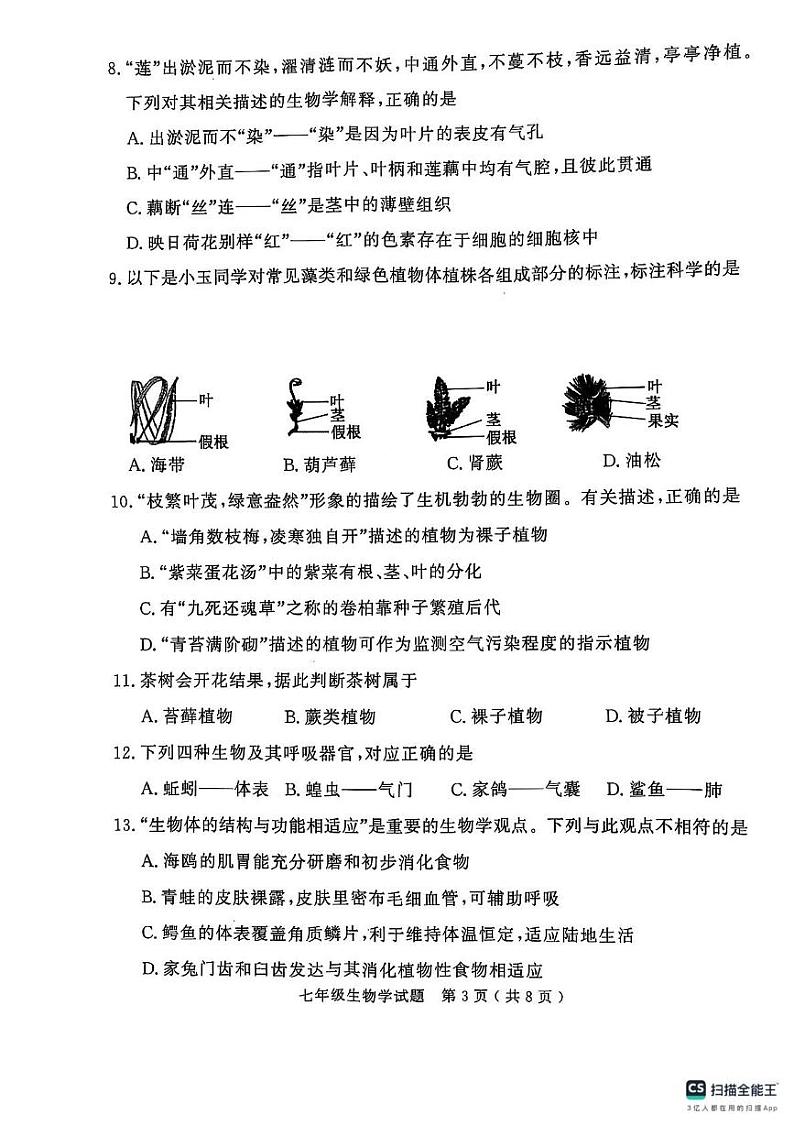山东省济宁市梁山县2024--2025学年七年级上学期期末教学质量调研生物试题第3页