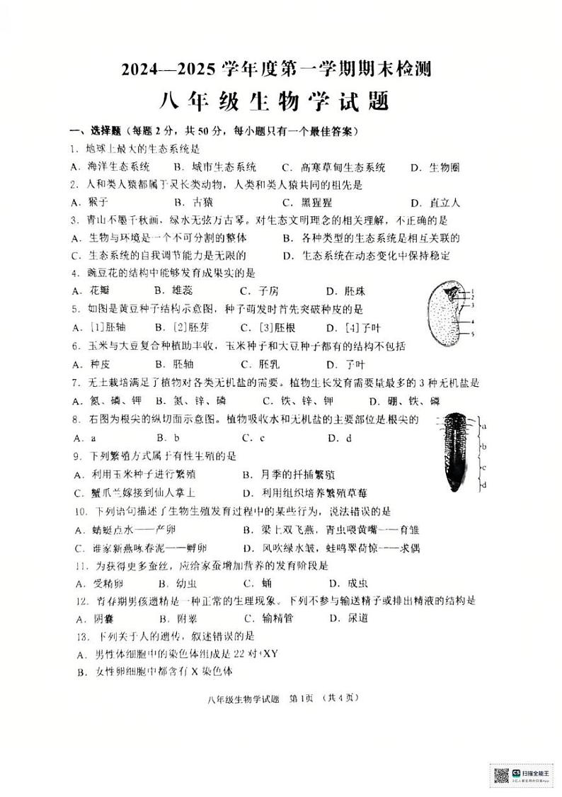 山东省济宁邹城市2024-2025学年八年级上学期期末生物试题第1页