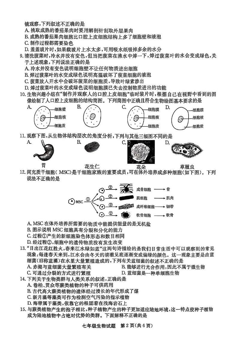 山东省聊城市高唐县2024-2025学年七年级上学期1月期末生物试题第2页