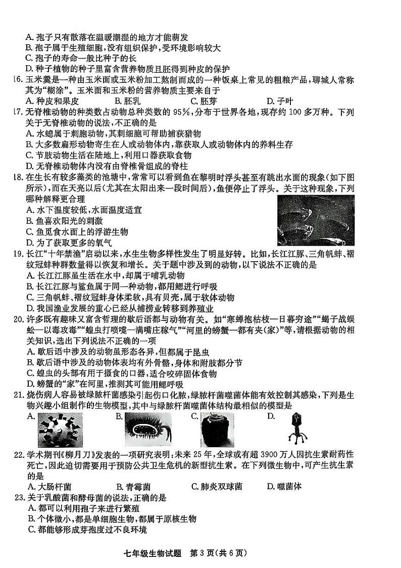 山东省聊城市高唐县2024-2025学年七年级上学期1月期末生物试题第3页
