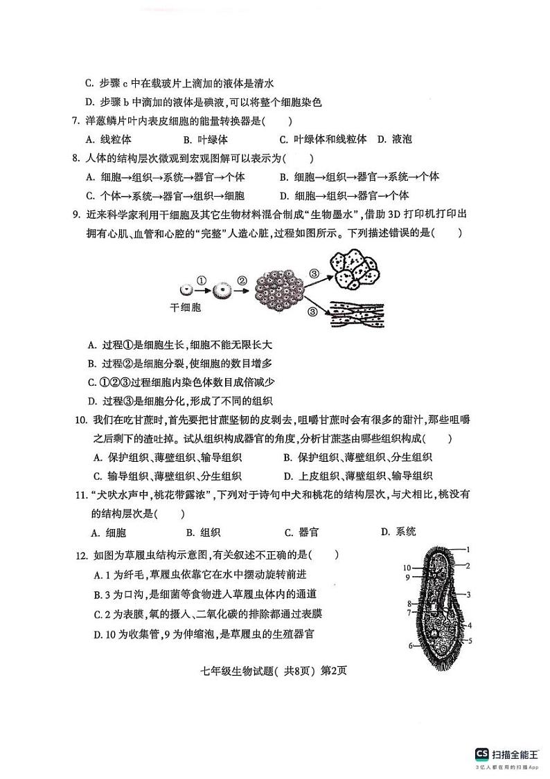 山东省聊城市莘县2024-2025学年七年级上学期1月期末生物试题第2页