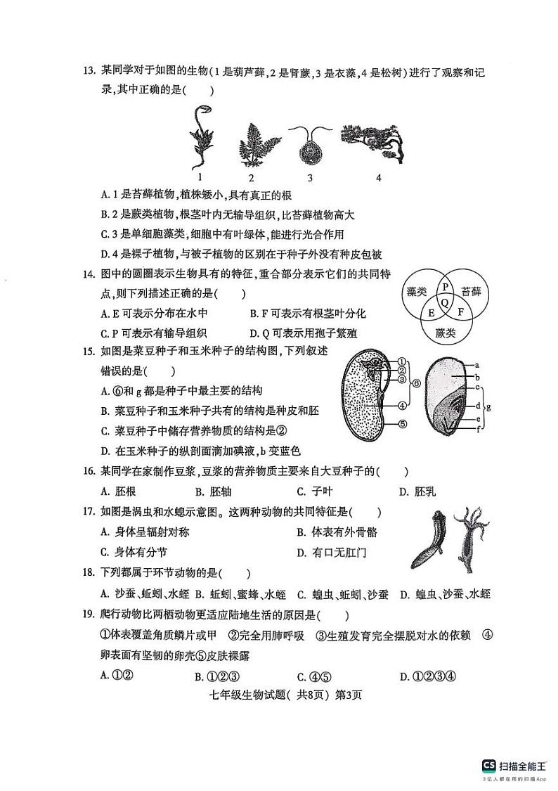 山东省聊城市莘县2024-2025学年七年级上学期1月期末生物试题第3页