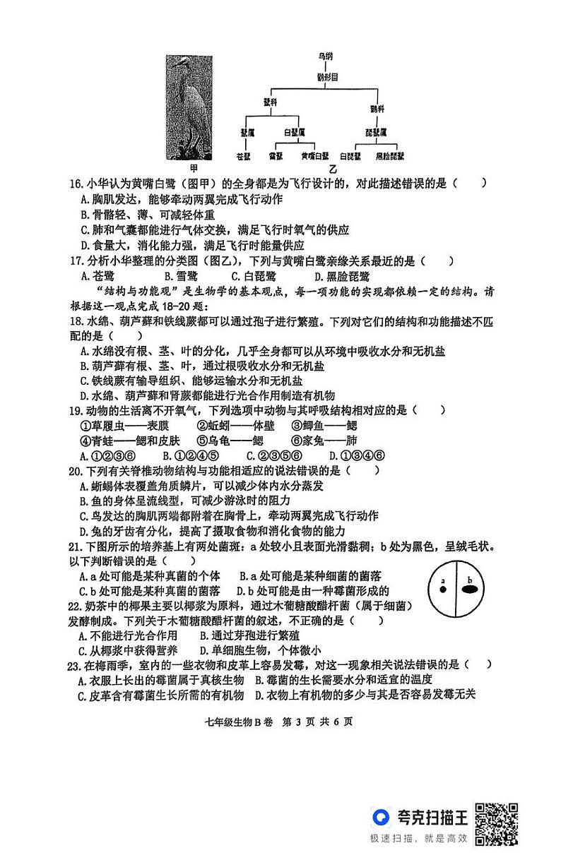 山东省临沂市沂南县2024-2025学年七年级上学期期末生物试题(B卷)第3页
