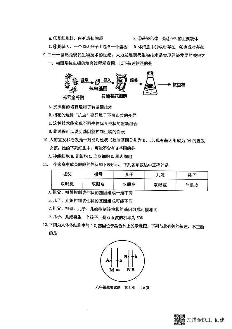 山东省泰安市宁阳县2024-2025学年八年级上学期期末考试生物试题第3页