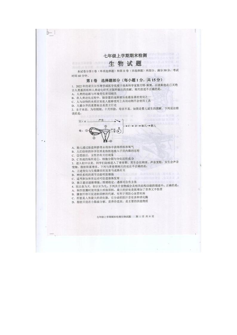 山东省泰安市新泰市2024-2025学年七年级上学期1月期末生物试题第1页