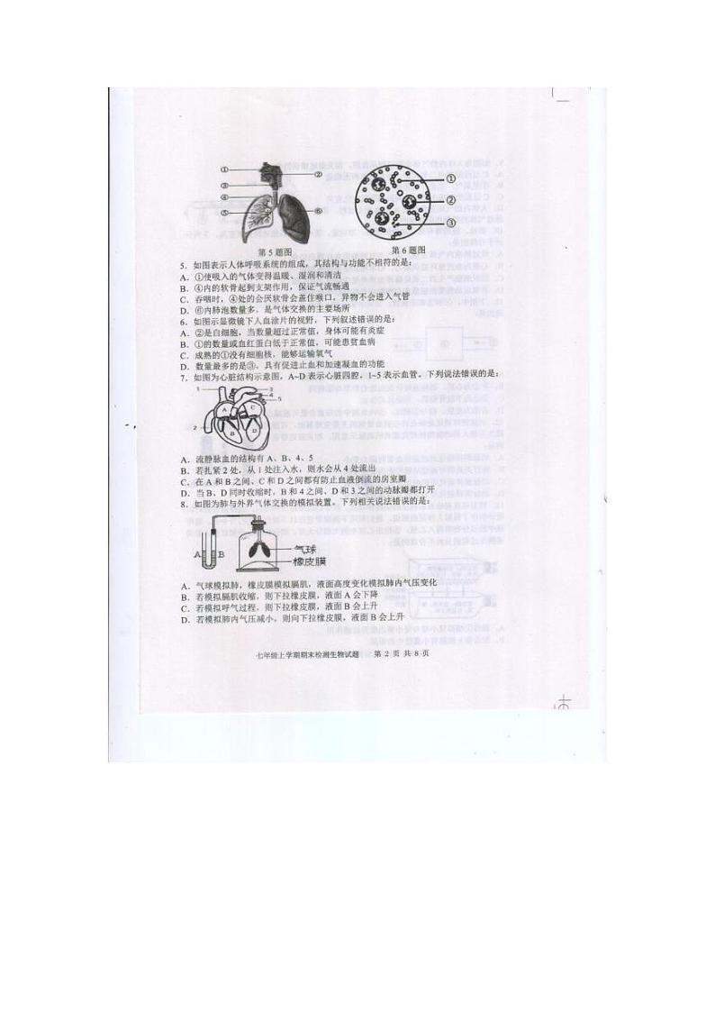 山东省泰安市新泰市2024-2025学年七年级上学期1月期末生物试题第2页