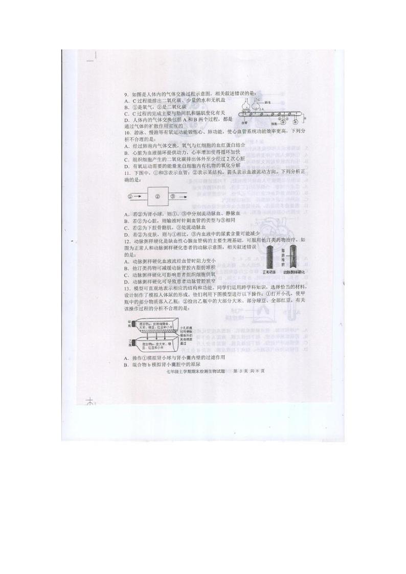 山东省泰安市新泰市2024-2025学年七年级上学期1月期末生物试题第3页