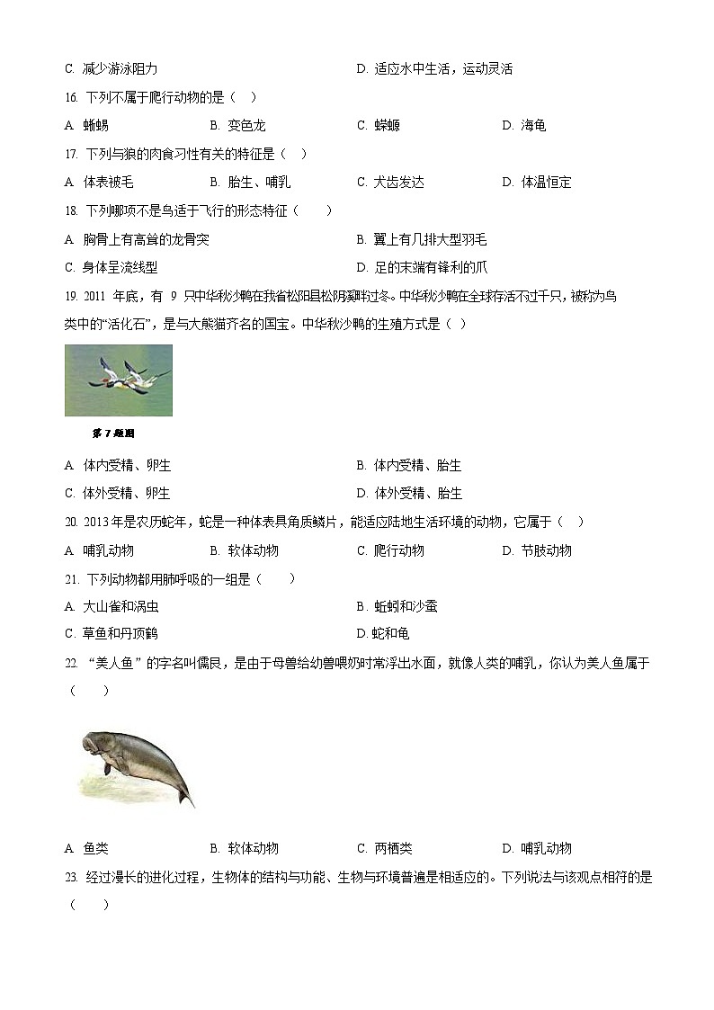 深圳市蛇口育才教育集团2023-2024学年八年级上学期期中考试生物试卷第3页