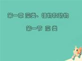 冀少版（2024）七上生物2.1.1 藻类 课件