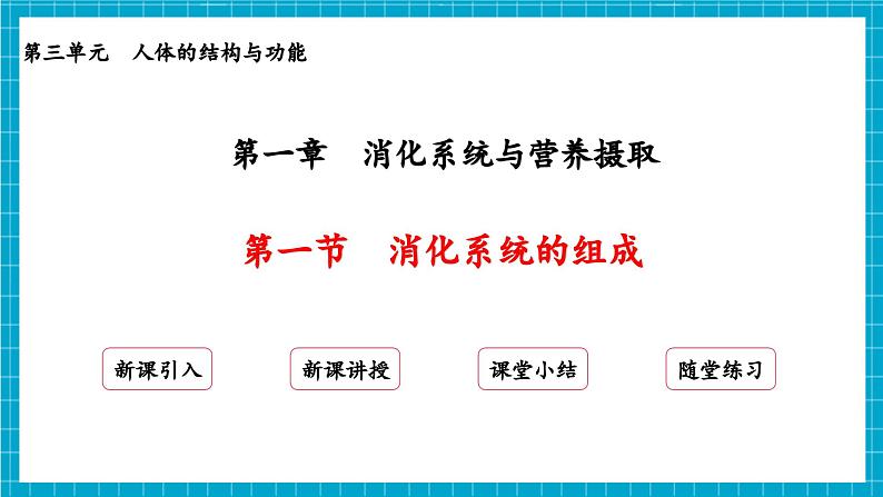 【新教材】冀少版生物七年级下册3.1.1  消化系统的组成 课件第2页