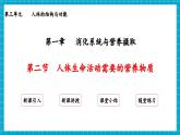 【新教材】冀少版生物七年级下册3.1.2 人体生命活动需要的营养物质 课件