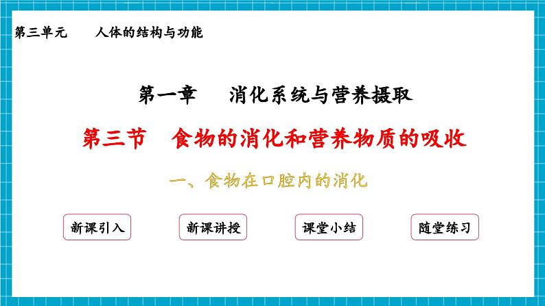 【新教材】冀少版生物七年级下册3.1.3 食物的消化和营养物质的吸收(一、食物在口腔内的消化) 课件第2页