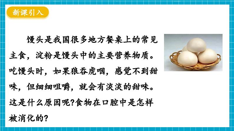 【新教材】冀少版生物七年级下册3.1.3 食物的消化和营养物质的吸收(一、食物在口腔内的消化) 课件第3页