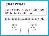 【新教材】冀少版生物七年级下册3.1.3 食物的消化和营养物质的吸收(一、食物在口腔内的消化) 课件