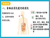 【新教材】冀少版生物七年级下册3.1.3 食物的消化和营养物质的吸收(二、食物在胃肠内的消化) 课件