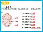 【新教材】冀少版生物七年级下册3.2.1 血液循环系统的组成(一、血液) 课件