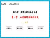 【新教材】冀少版生物七年級下冊3.2.1 血液循環(huán)系統(tǒng)的組成(二、血管) 課件