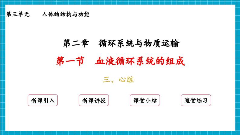 【新教材】冀少版生物七年级下册3.2.1 血液循环系统的组成(三、心脏) 课件第2页