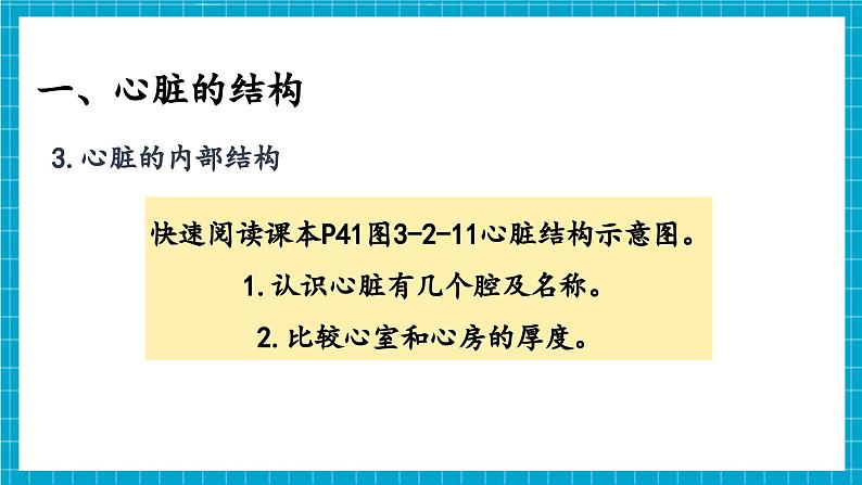 【新教材】冀少版生物七年级下册3.2.1 血液循环系统的组成(三、心脏) 课件第6页