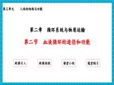 【新教材】冀少版生物七年級下冊3.2.2 血液循環(huán)的途徑和功能 課件